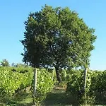 Semesteranläggning (resort) Tenuta Saiano 3*