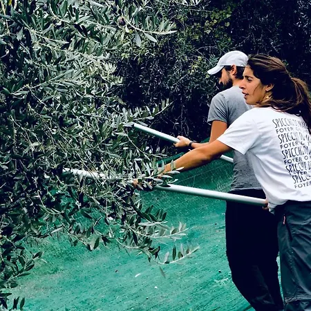 Tenuta Saiano אתר נופש 3*