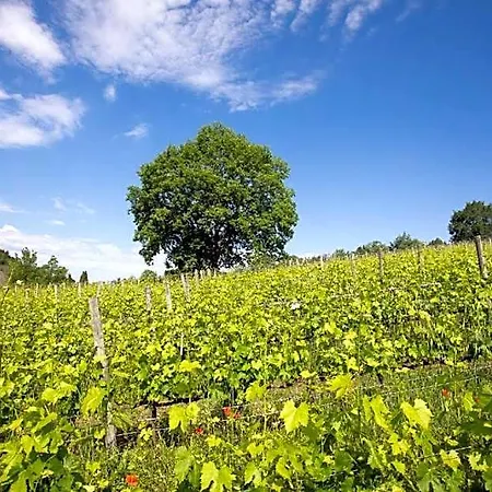 Tenuta Saiano リゾート