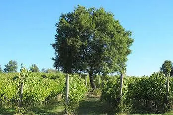 Station touristique Tenuta Saiano 3*