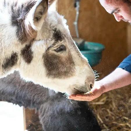 Resort Tenuta Saiano 3*