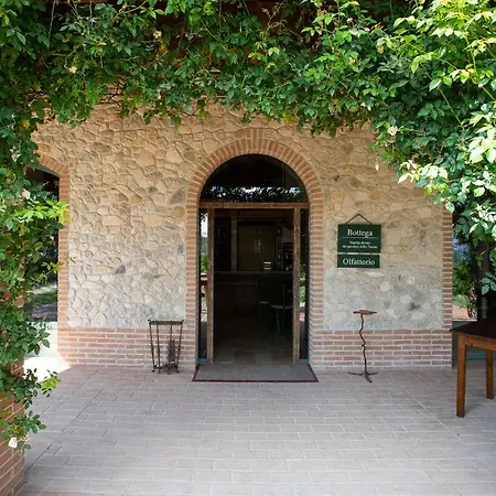 Tenuta Saiano