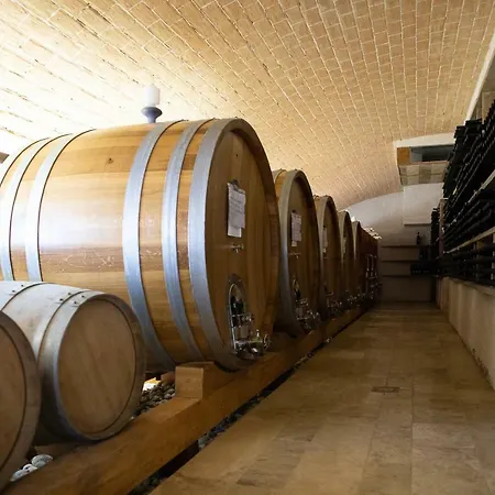 Tenuta Saiano Torriana