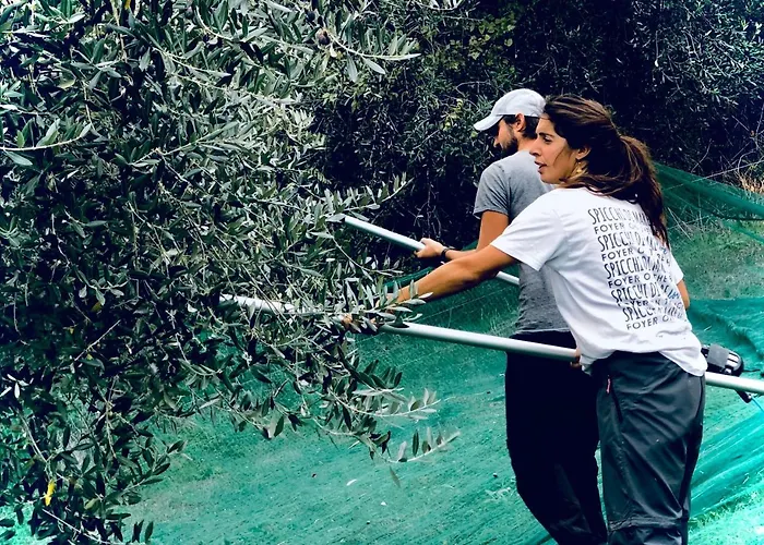 Tenuta Saiano Station touristique 3*