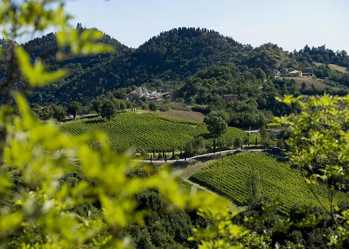 Resort Tenuta Saiano Torriana