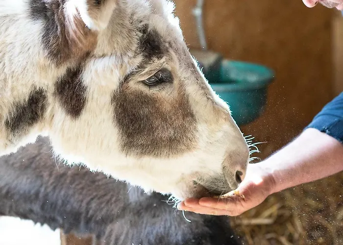 Resort Tenuta Saiano 3*